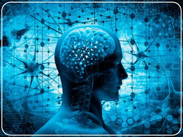 Información sobre el espectáculo Lunático y MENTAL
